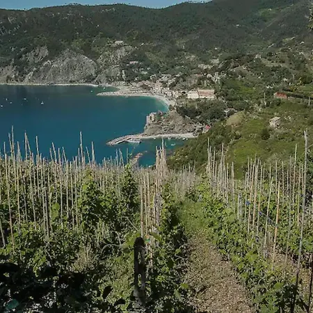 Apartman Basuetta In Historical Center With Ac